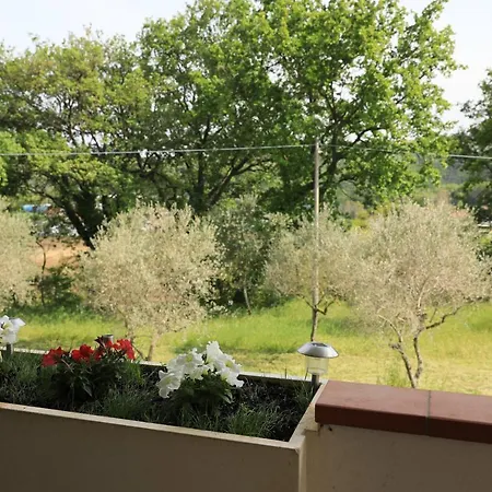 Lunare Homestay Collecorvino