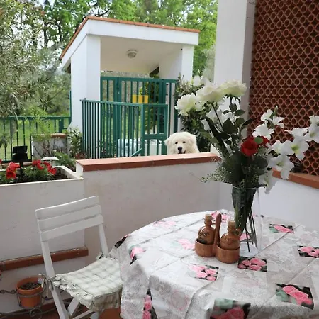 Homestay Lunare *