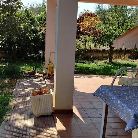 Homestay Lunare